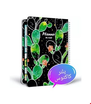 پلنر کاکتوس ۲