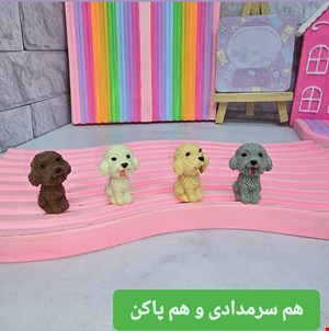 گیفت الفبا حرف س ( پاکن فانتزی سگ) 